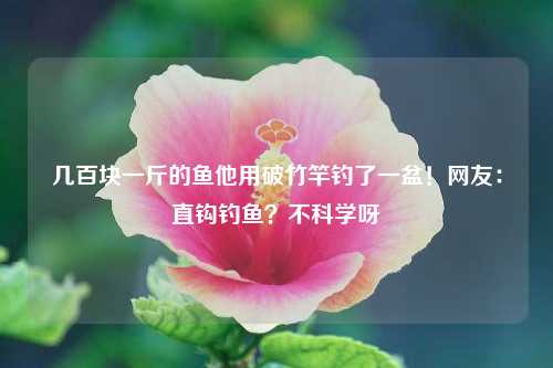 几百块一斤的鱼他用破竹竿钓了一盆！网友：直钩钓鱼？不科学呀