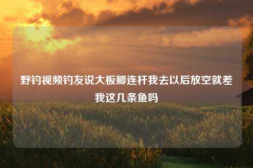 野钓视频钓友说大板鲫连杆我去以后放空就差我这几条鱼吗