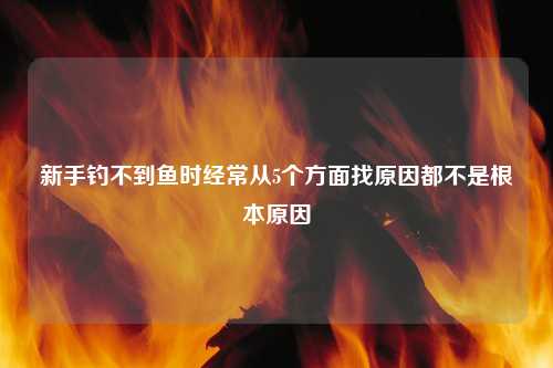 新手钓不到鱼时经常从5个方面找原因都不是根本原因