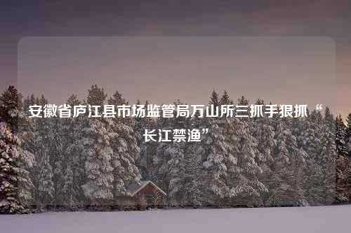 安徽省庐江县市场监管局万山所三抓手狠抓“长江禁渔”