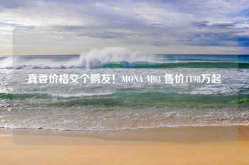 真香价格交个鹏友！MONA M03 售价1198万起