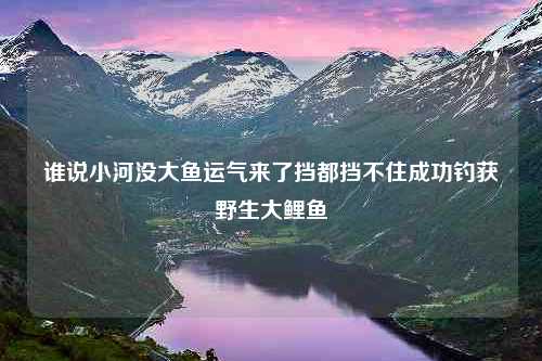 谁说小河没大鱼运气来了挡都挡不住成功钓获野生大鲤鱼