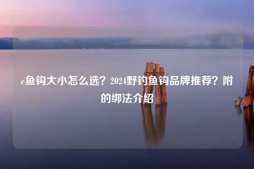 e鱼钩大小怎么选？2024野钓鱼钩品牌推荐？附的绑法介绍