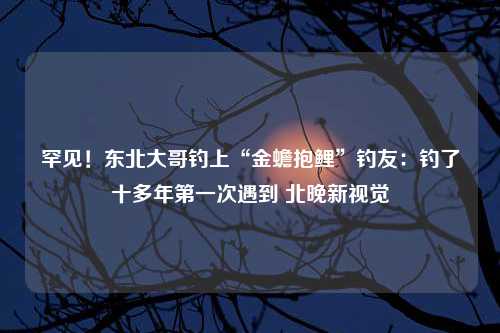 罕见！东北大哥钓上“金蟾抱鲤”钓友：钓了十多年第一次遇到 北晚新视觉