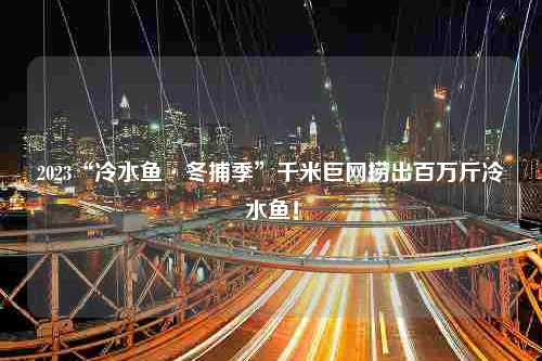 2023“冷水鱼·冬捕季”千米巨网捞出百万斤冷水鱼！