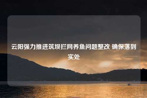 云阳强力推进筑坝拦网养鱼问题整改 确保落到实处