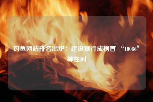 钓鱼网站排名出炉：建设银行成榜首 “10086”等在列