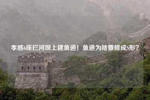 孝感6座拦河坝上建鱼道！鱼道为啥要修成S形？