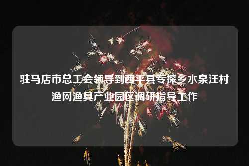 驻马店市总工会领导到西平县专探乡水泉汪村渔网渔具产业园区调研指导工作