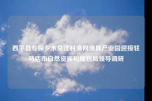 西平县专探乡水泉汪村渔网渔具产业园迎接驻马店市自然资源和规划局领导调研