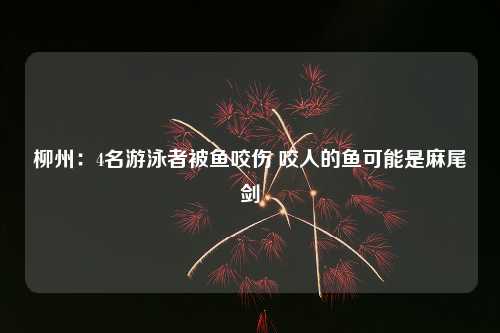 柳州：4名游泳者被鱼咬伤 咬人的鱼可能是麻尾剑