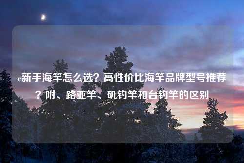 e新手海竿怎么选？高性价比海竿品牌型号推荐？附、路亚竿、矶钓竿和台钓竿的区别