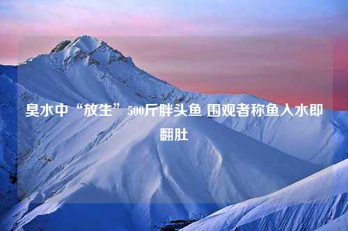 臭水中“放生”500斤胖头鱼 围观者称鱼入水即翻肚