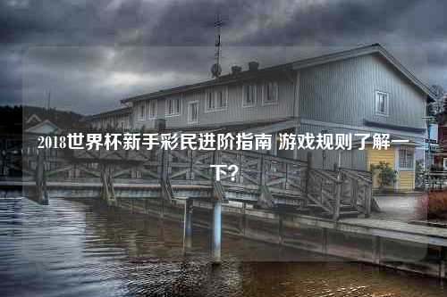 2018世界杯新手彩民进阶指南 游戏规则了解一下？