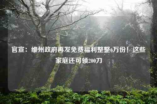 官宣：维州政府再发免费福利整整6万份！这些家庭还可领200刀