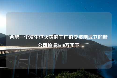 合肥一个发生过火灾的工厂拍卖被刚成立的新公司捡漏3610万买下