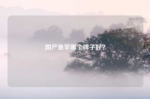 国产鱼竿哪个牌子好？