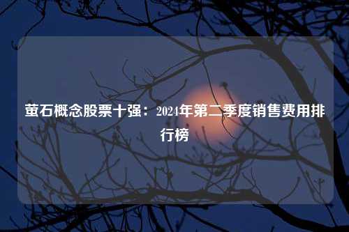 萤石概念股票十强：2024年第二季度销售费用排行榜