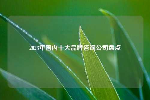 2023年国内十大品牌咨询公司盘点