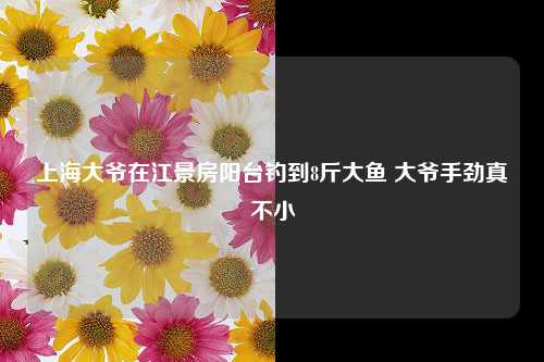 上海大爷在江景房阳台钓到8斤大鱼 大爷手劲真不小