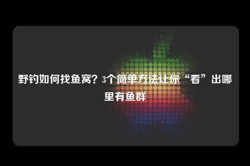 野钓如何找鱼窝？3个简单方法让你“看”出哪里有鱼群