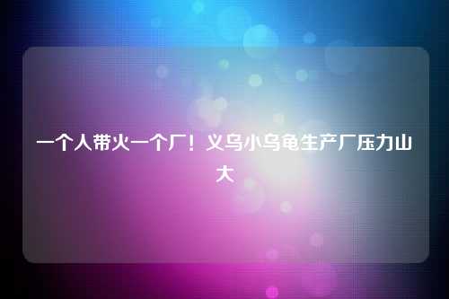 一个人带火一个厂！义乌小乌龟生产厂压力山大