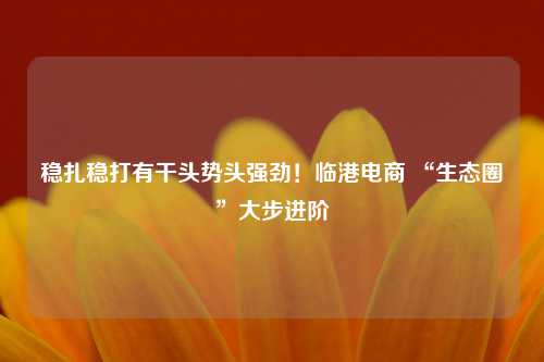 稳扎稳打有干头势头强劲！临港电商 “生态圈”大步进阶