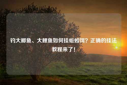 钓大鲫鱼、大鲤鱼如何挂蚯蚓饵？正确的挂法教程来了！