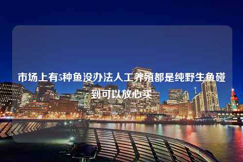 市场上有5种鱼没办法人工养殖都是纯野生鱼碰到可以放心买