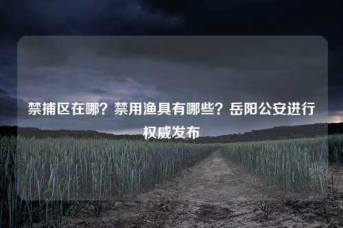 禁捕区在哪？禁用渔具有哪些？岳阳公安进行权威发布