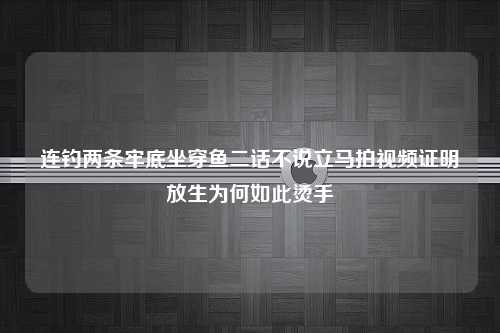 连钓两条牢底坐穿鱼二话不说立马拍视频证明放生为何如此烫手