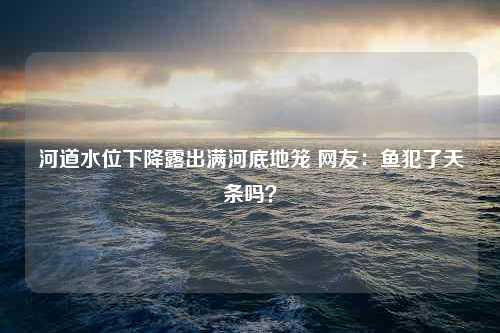 河道水位下降露出满河底地笼 网友：鱼犯了天条吗？