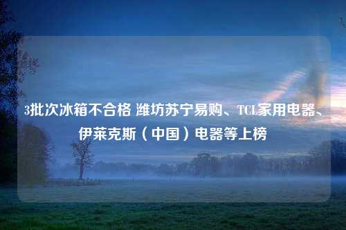 3批次冰箱不合格 潍坊苏宁易购、TCL家用电器、伊莱克斯（中国）电器等上榜