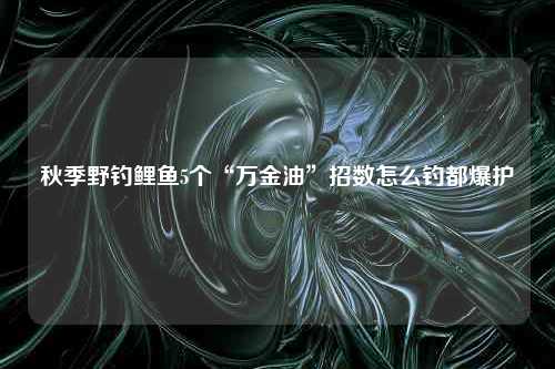 秋季野钓鲤鱼5个“万金油”招数怎么钓都爆护