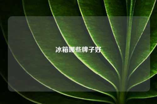 冰箱哪些牌子好