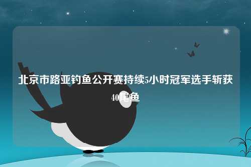 北京市路亚钓鱼公开赛持续5小时冠军选手斩获40尾鱼