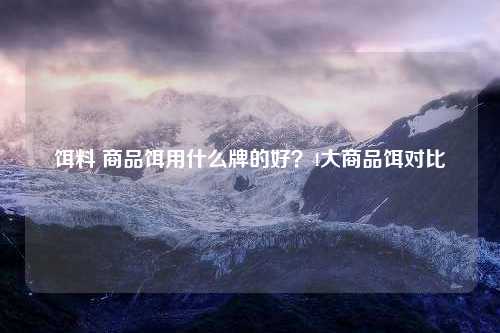 饵料 商品饵用什么牌的好？4大商品饵对比