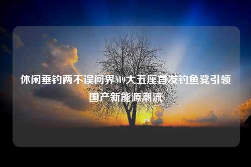 休闲垂钓两不误问界M9大五座首发钓鱼凳引领国产新能源潮流