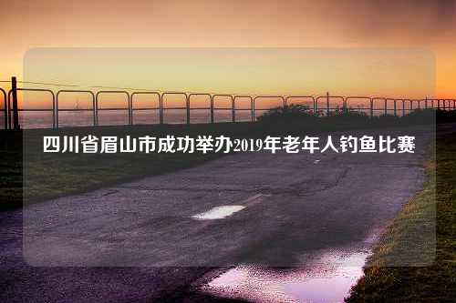 四川省眉山市成功举办2019年老年人钓鱼比赛