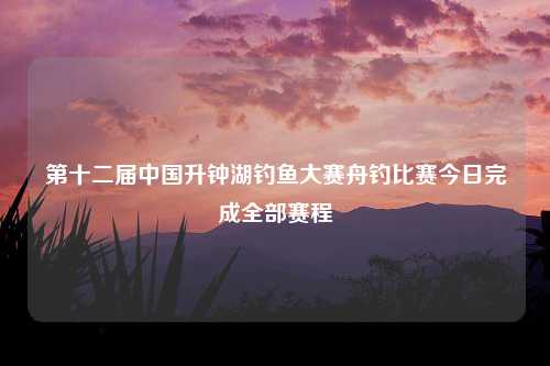 第十二届中国升钟湖钓鱼大赛舟钓比赛今日完成全部赛程