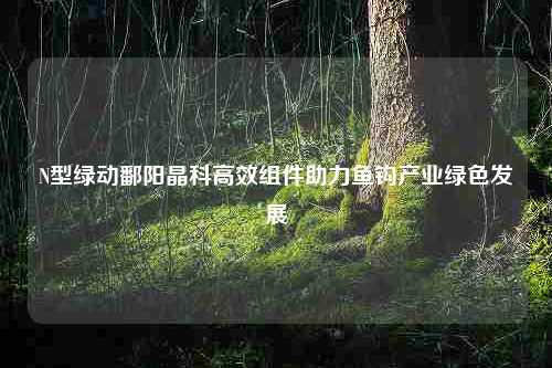 N型绿动鄱阳晶科高效组件助力鱼钩产业绿色发展