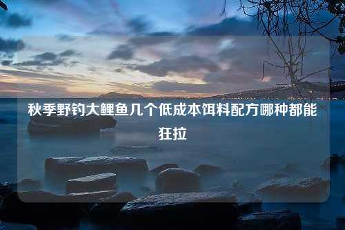 秋季野钓大鲤鱼几个低成本饵料配方哪种都能狂拉