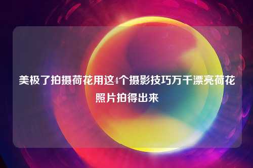 美极了拍摄荷花用这4个摄影技巧万千漂亮荷花照片拍得出来