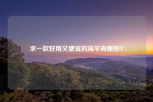 求一款好用又便宜的海竿有哪些？