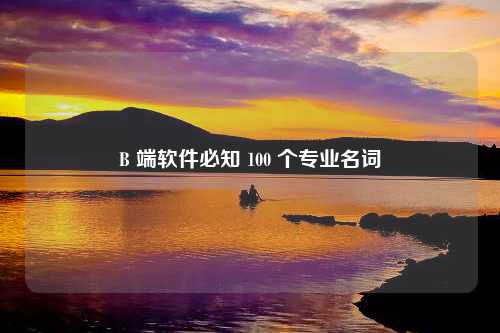 B 端软件必知 100 个专业名词