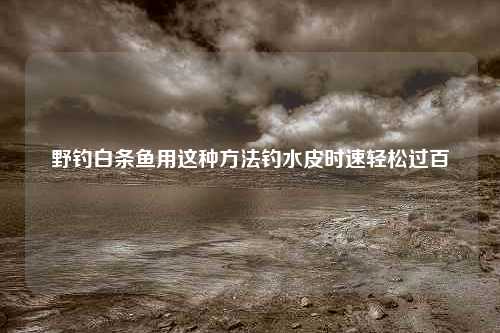 野钓白条鱼用这种方法钓水皮时速轻松过百