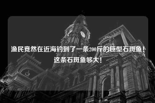 渔民竟然在近海钓到了一条200斤的巨型石斑鱼！这条石斑鱼够大！