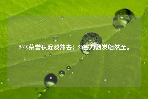 2019荣誉积淀淡然去；20蓄力勃发翩然至。