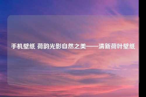 手机壁纸 荷韵光影自然之美——清新荷叶壁纸