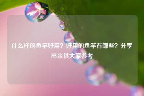 什么样的鱼竿好用？好用的鱼竿有哪些？分享出来供大家参考